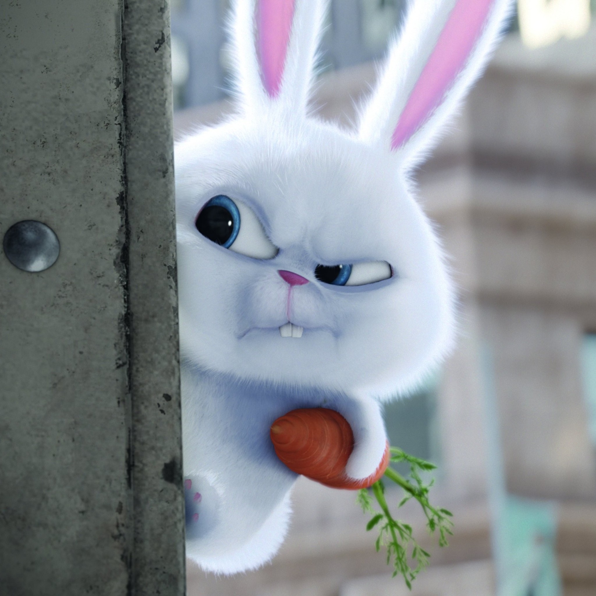 Snow Ball, o psicótico fofinho